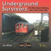 Underground Survivors (Visions)